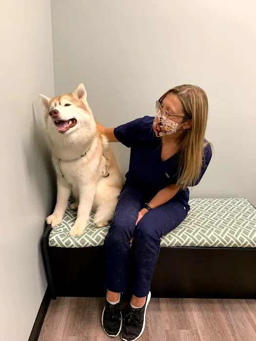 Uxbridge Animal Hospital 7