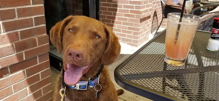VCA Blackstone Valley Animal Hospital 8
