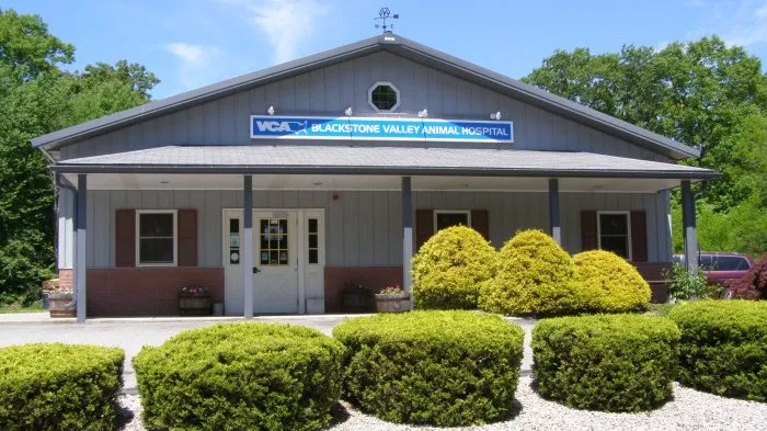 VCA Blackstone Valley Animal Hospital 3