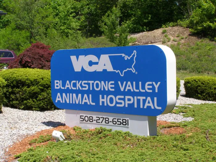 VCA Blackstone Valley Animal Hospital 6