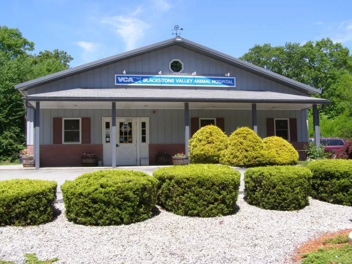 VCA Blackstone Valley Animal Hospital 4