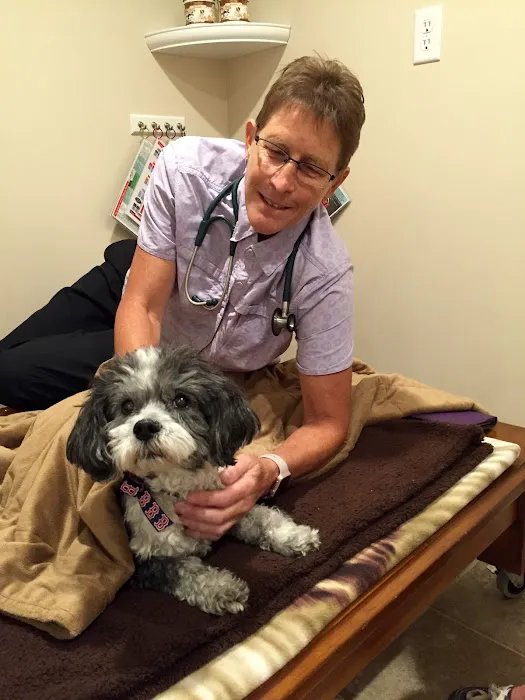 WagMore Veterinary Care 2