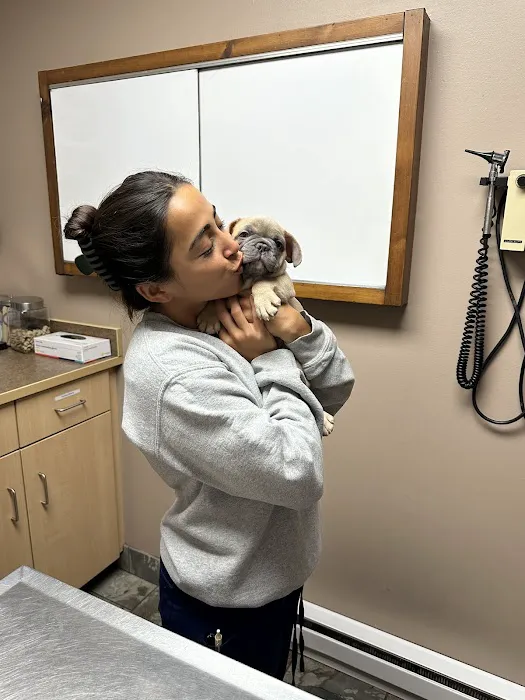 South County Veterinary Hospital 2