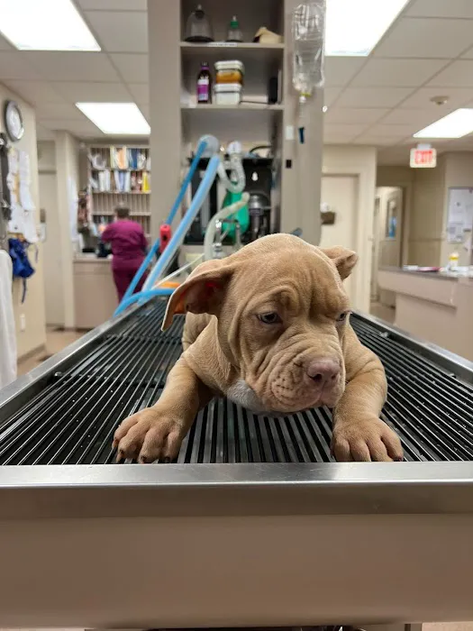 Washington County Vet Hospital 1