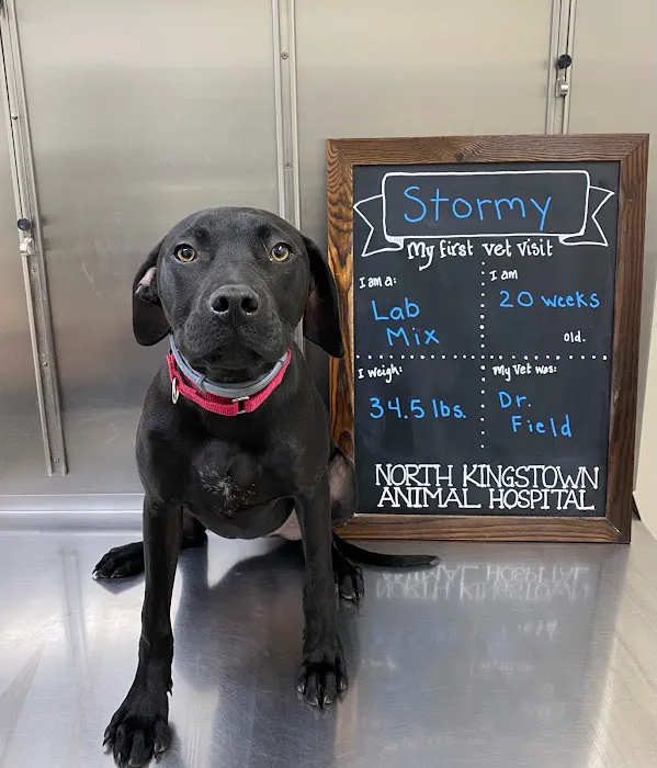 North Kingstown Animal Hospital 1