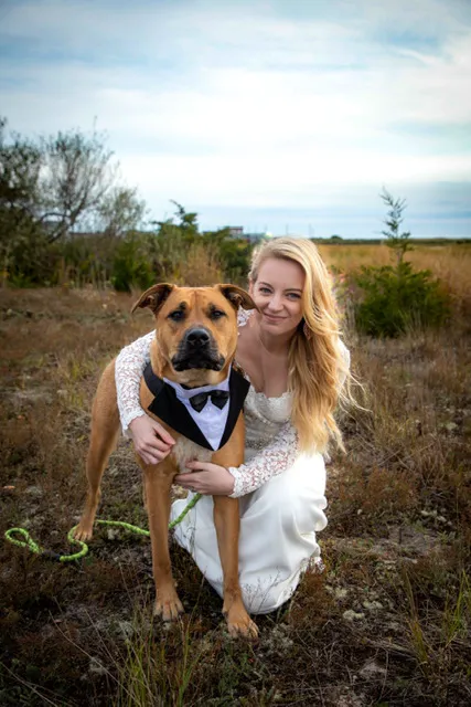 North Kingstown Animal Hospital 4