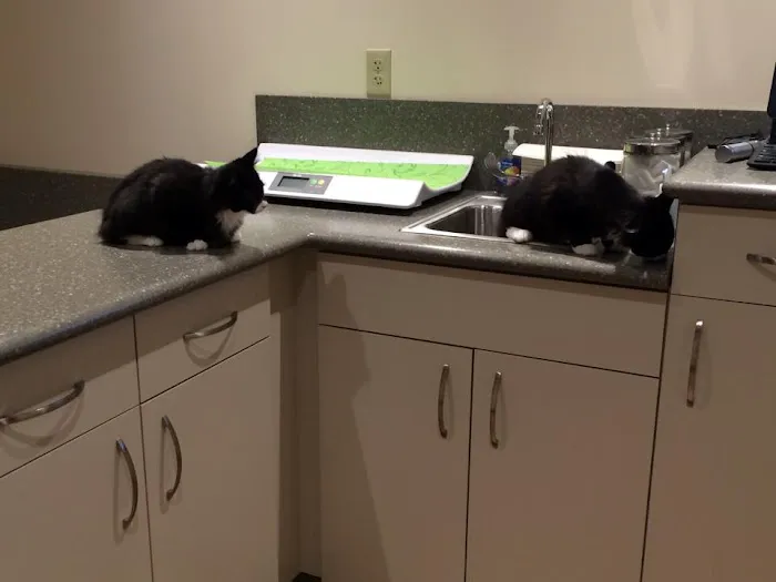 The Village Veterinary Center 1