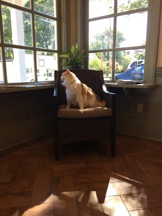The Village Veterinary Center 3