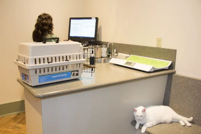 The Village Veterinary Center 8