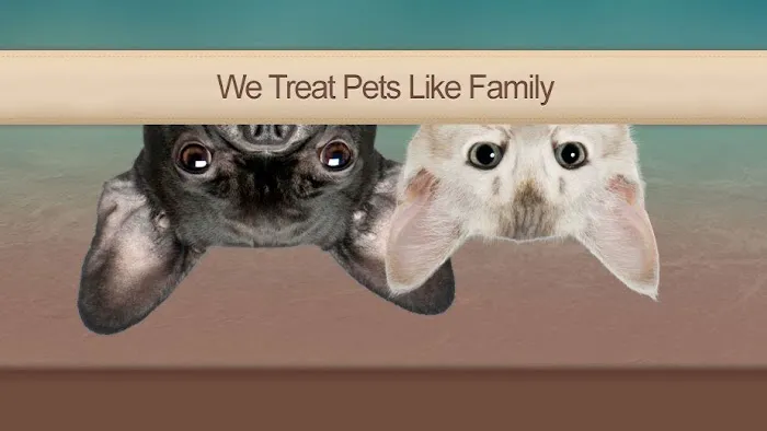 Wickford Veterinary Clinic 9