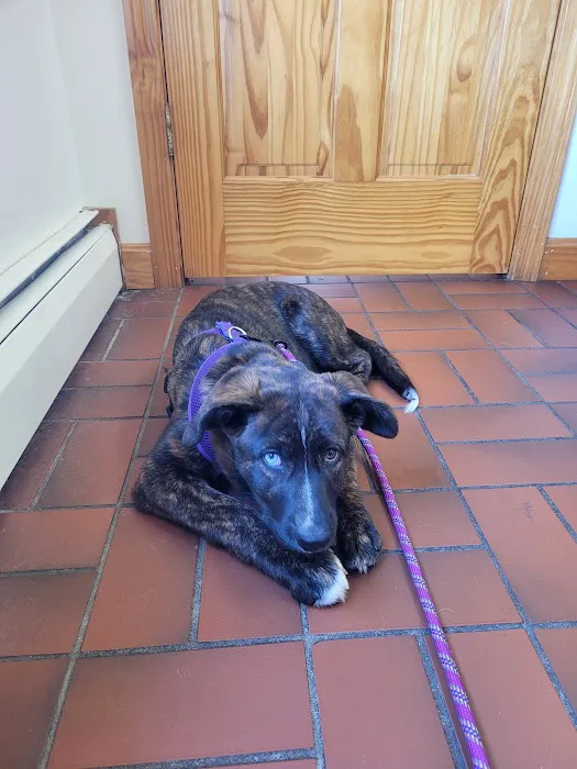 Greenwich Bay Animal Hospital 2
