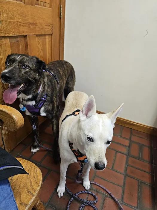 Greenwich Bay Animal Hospital 3