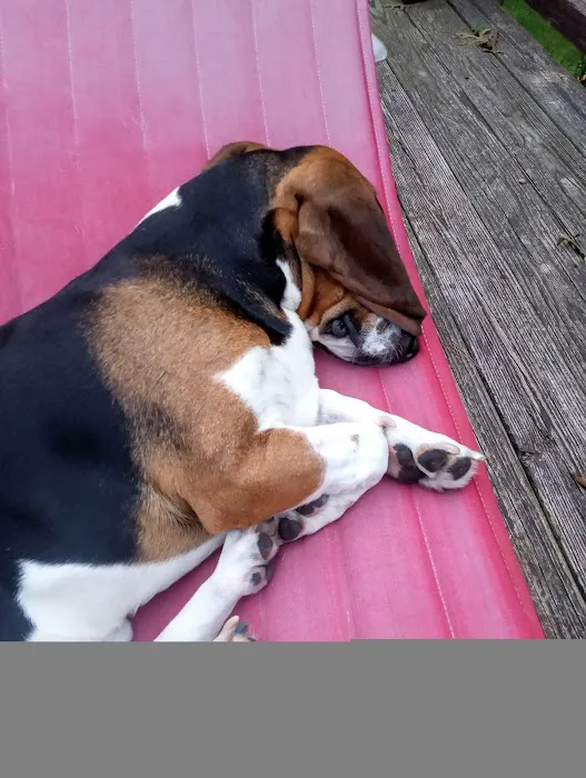 Greenwich Bay Animal Hospital 5