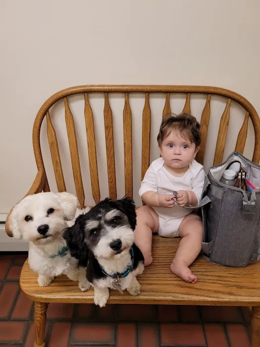 Greenwich Bay Animal Hospital 7