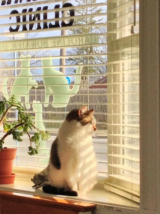 South Bay Veterinary Clinic 10