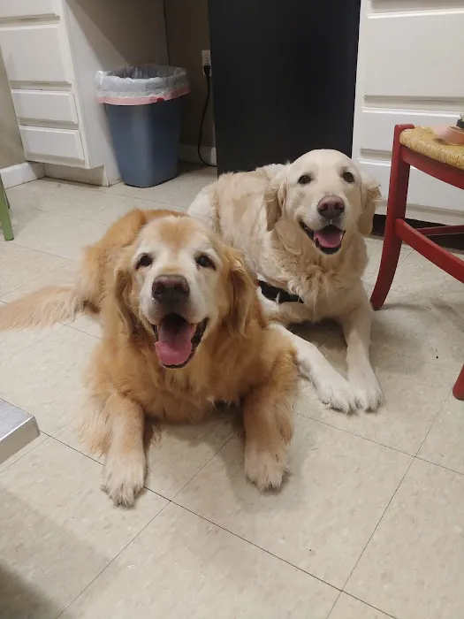 South Bay Veterinary Clinic 9
