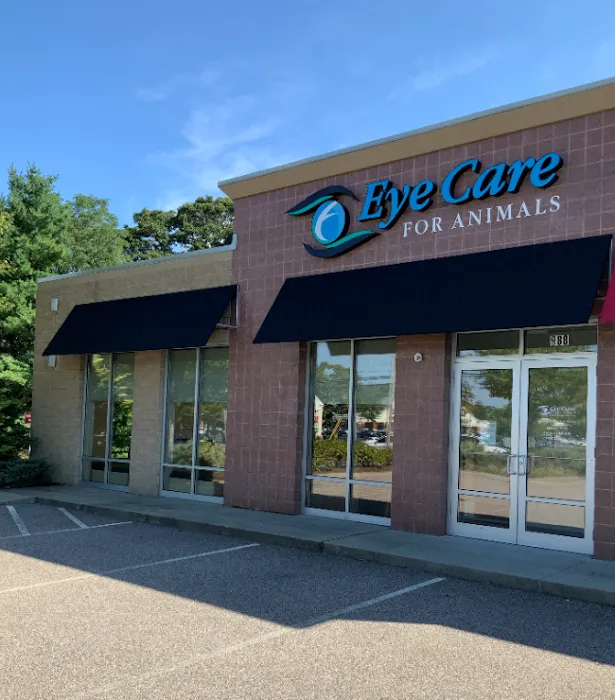 Eye Care for Animals - Warwick 10
