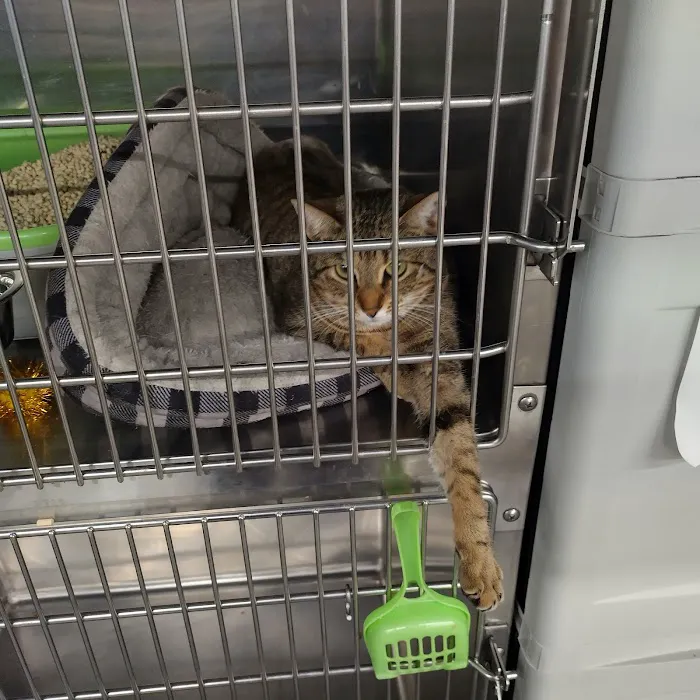 Banfield Pet Hospital 8