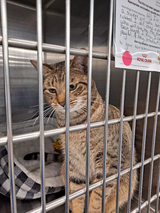 Banfield Pet Hospital 7