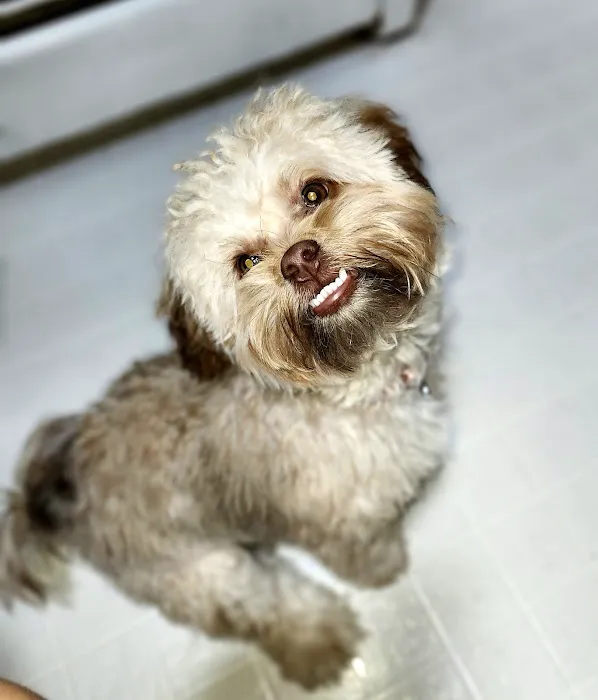 Banfield Pet Hospital 4