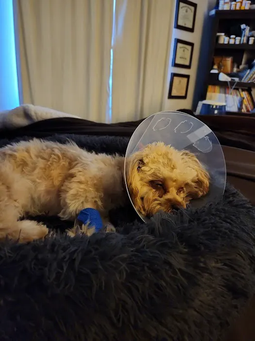 Banfield Pet Hospital 3