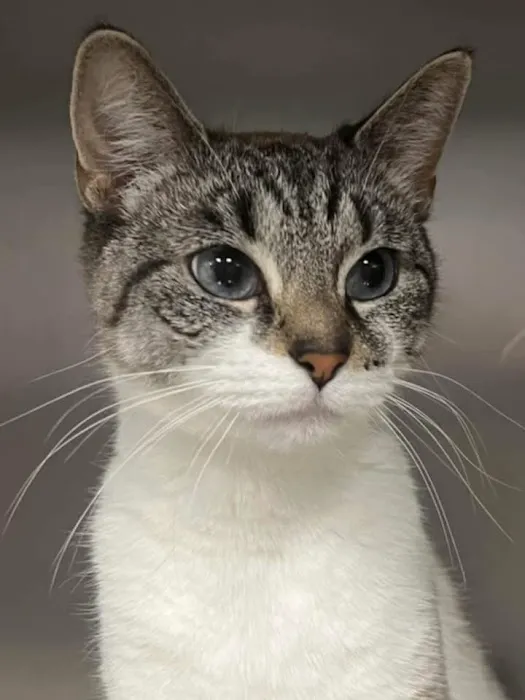 Mercy Animal Hospital 2