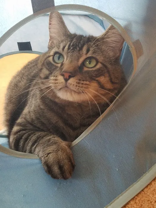 Mercy Animal Hospital 7