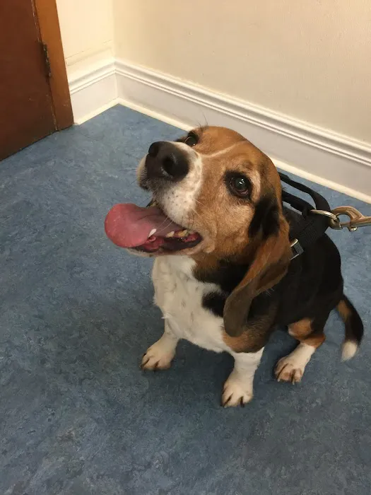 Oaklawn Animal Hospital 6