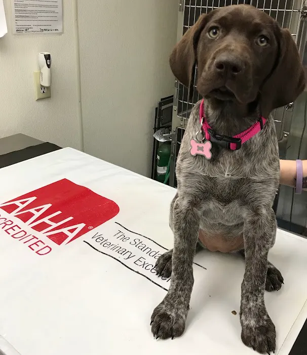 Oaklawn Animal Hospital 3