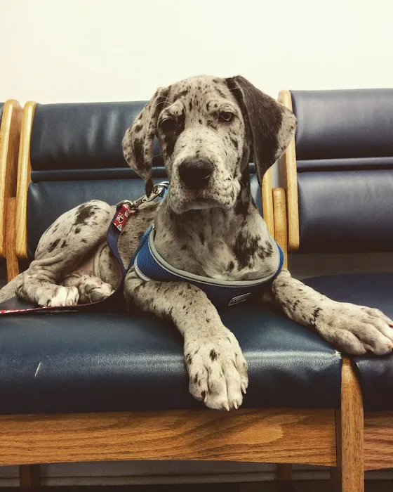 Oaklawn Animal Hospital 1