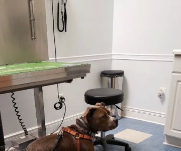 Oaklawn Animal Hospital: Cutts Shannon DVM