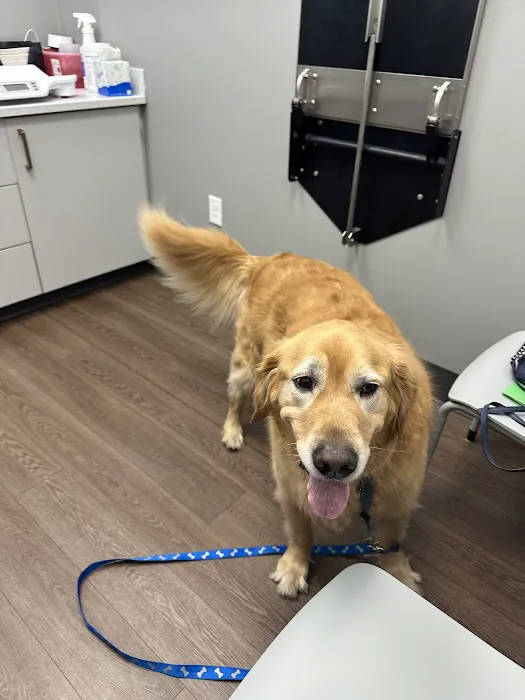 Warwick PetMedic Urgent Care Vet Clinic 1