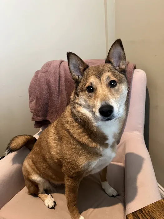 Warwick PetMedic Urgent Care Vet Clinic 5