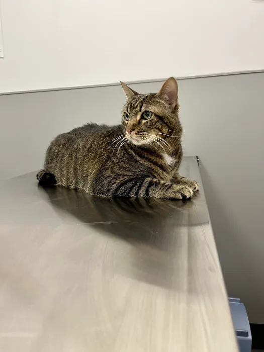 Warwick PetMedic Urgent Care Vet Clinic 9