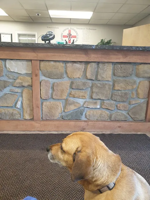 Northway Animal Emergency Clinic 2