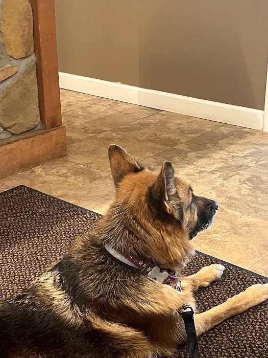 Northway Animal Emergency Clinic 5