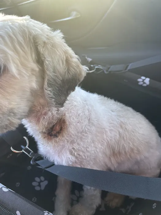 Northway Animal Emergency Clinic 6