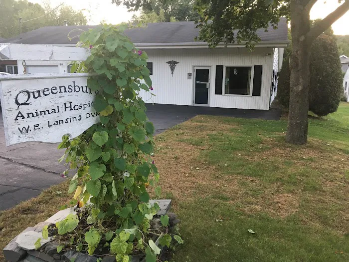 Queensbury Animal Hospital 6