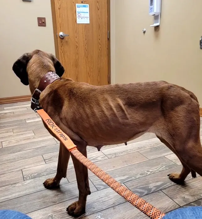 Countryside Veterinary Clinic 3