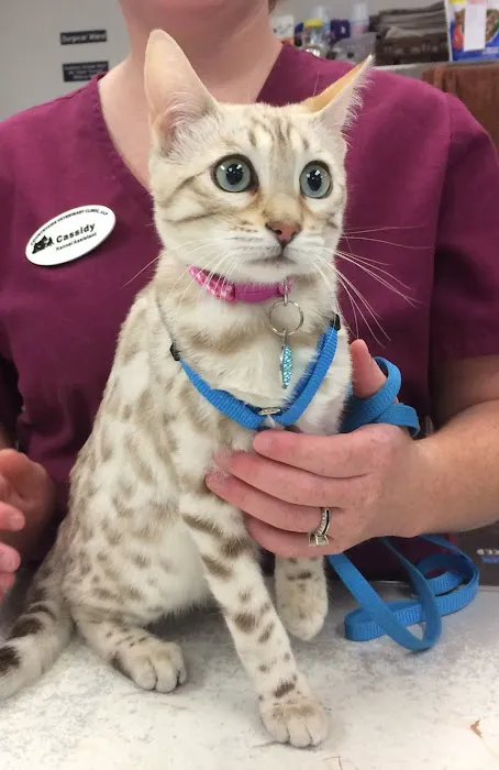 Countryside Veterinary Clinic 8