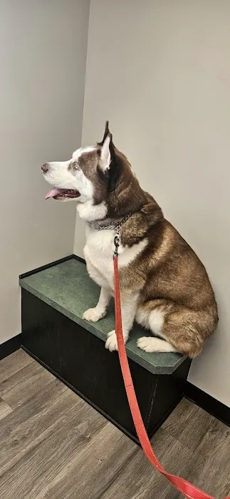 Animal Ark Veterinary Hospital 4