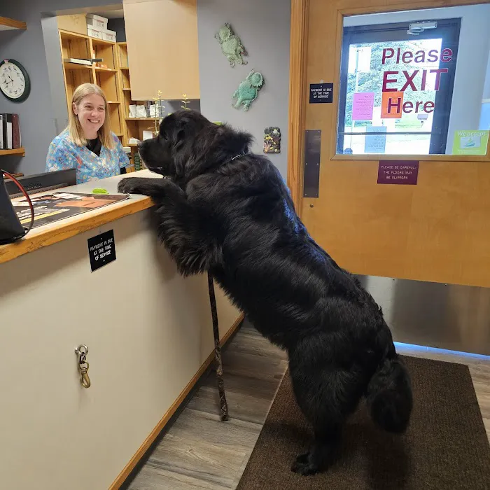 Animal Ark Veterinary Hospital 10