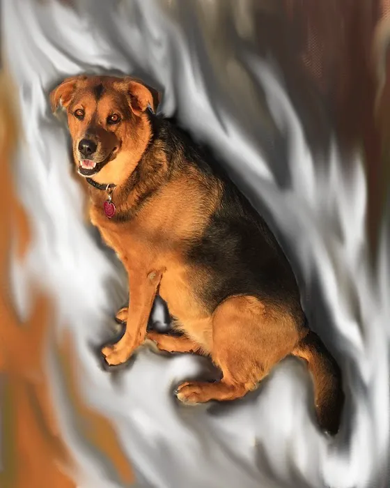 Animal Ark Veterinary Hospital 1