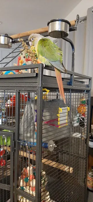 Animal Ark Veterinary Hospital 8