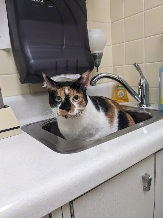Camillus Animal Clinic, PC 1