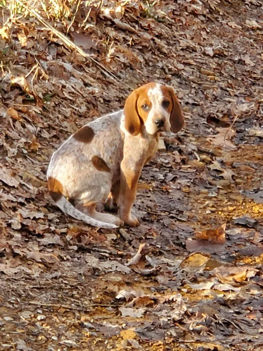 Upchurch Animal Clinic 9