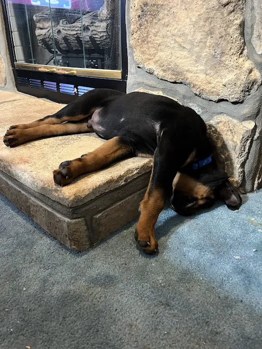 South Rhea Animal Hospital 1