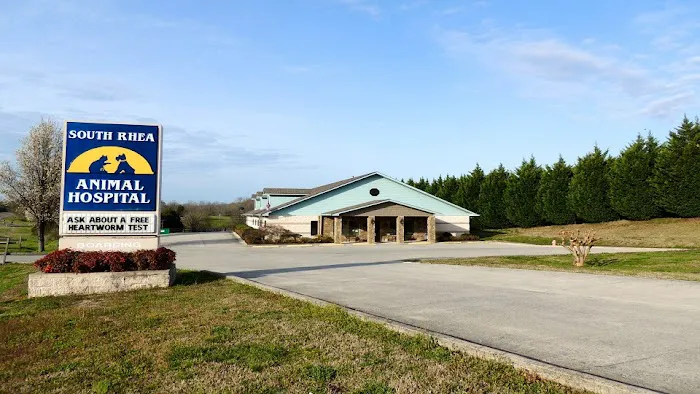 South Rhea Animal Hospital 4