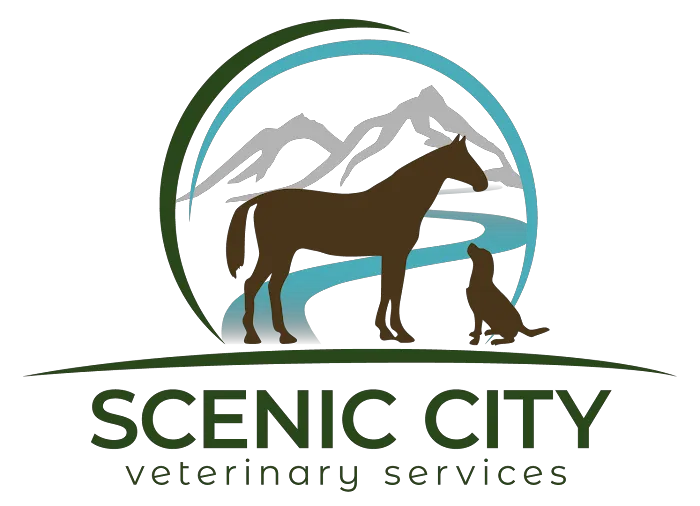 Scenic City Veterinary Services 1