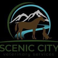 Scenic City Veterinary Services ico